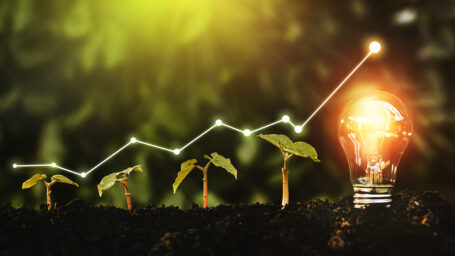 Lightbulb is located on the soil, plant are growing.Renewable energy generation is essential in the future
