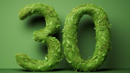 the number 30 on a green background