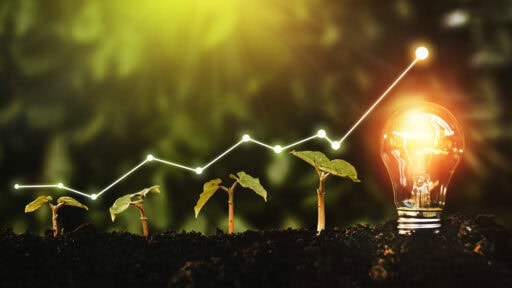 Plants growing with a light bulb in the ground