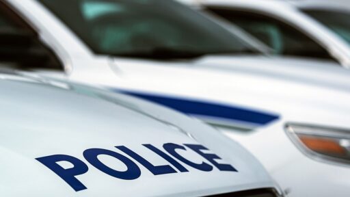 Photo of a Police Car hood